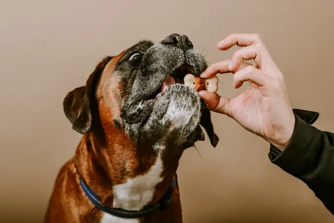 renforçateur alimentaire