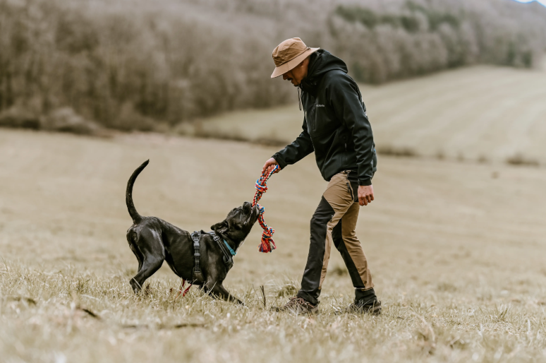 renforçateur par le jeux